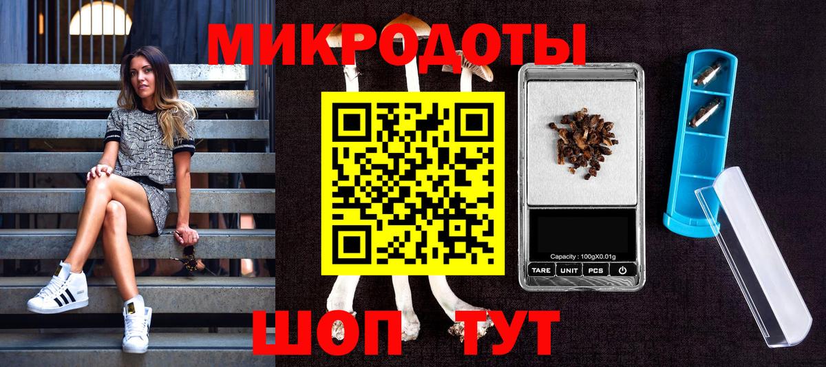 Галлюциногенные грибы мицелий Кубинка